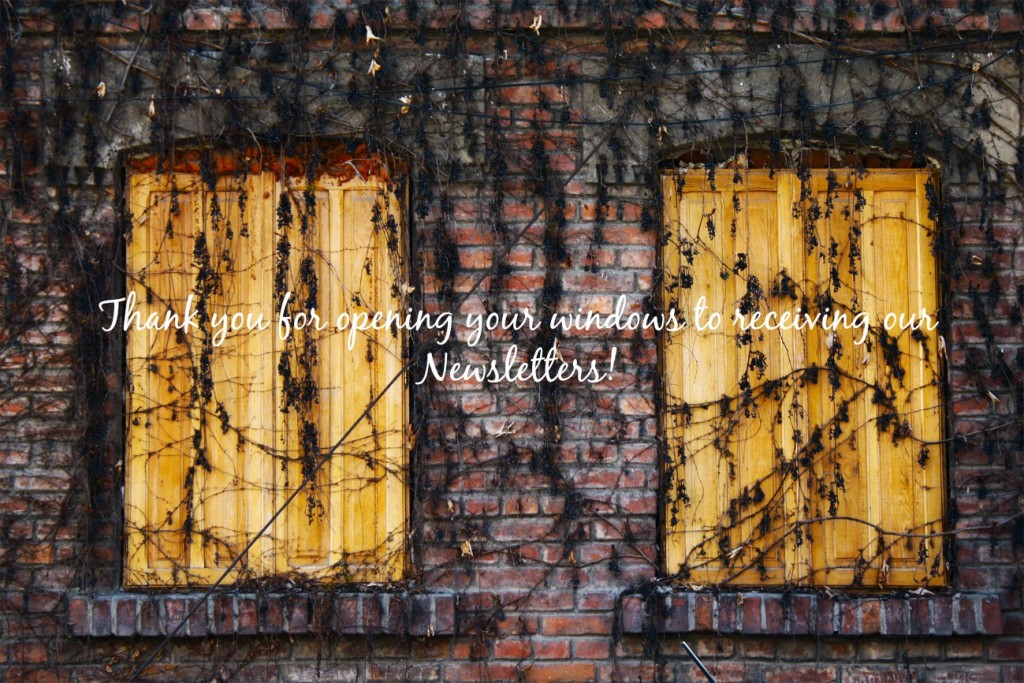 Agulhas Utilities Corporation